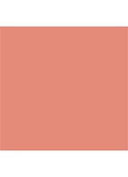 Cheek To Chic blush  - Ecstasy