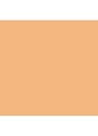Hollywood Flawless Filter - primer, highlighter & corrector - 5 Tan