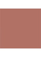 K.I.S.S.I.N.G lipstick - Nude Kate