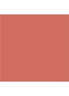 Lip Cheat - lipliner - PINK VENUS