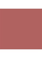 Lip Lustre - lipgloss - High Society