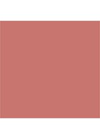 Lip Lustre - lipgloss - Sweet Stiletto