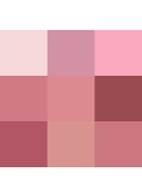 Palette Of Beautifying Eye Trends - oogschaduwpalette  - Pink Love
