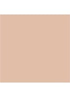 Almost Powder MakeUp SPF 15 - compact foundation - Neutral Fair