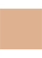 Almost Powder MakeUp SPF 15 - compact foundation - Light