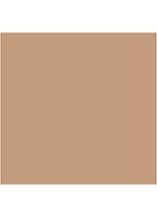 Almost Powder MakeUp SPF 15 - compact foundation - Neutral