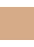 Anti Blemish Solution Concealer - No. 02