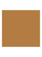 Beyond Perfecting Foundation + Concealer - Toasted