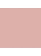 Blushing Blush™ Powder Blush - Bashful Blush