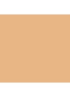 Even Better Clinical Serum Foundation SPF20 - WN 56 Cashew