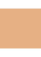 Even Better Glow Light Reflecting Makeup SPF 15 - foundation - CN 20 Fair
