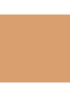 Even Better Glow Light Reflecting Makeup SPF 15 - foundation - CN 58 Honey