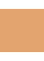 Even Better™ Makeup Broad Spectrum SPF 15 - foundation - WN 92 Deep Neutral