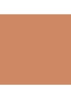 True Bronze Pressed Powder - bronzer - 03 Sunblushed