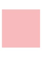 Addict Lip Maximizer - Vollermakende Lipgloss - 001 Pink