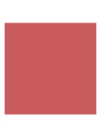 Addict Lipstick Refill - Navulling - 463 Dior Ribbon