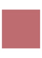 Addict Lipstick  - 521 Diorelita