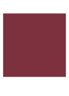 Dior Addict Lipstick Refill - Navulling - 980 - Dior Tarot