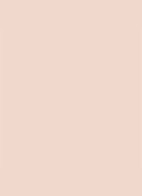 Dior Backstage Face & Body Foundation - 2 Cool Rosy