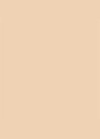 Dior Backstage Face & Body Foundation - 2W Warm