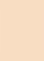 Dior Backstage Face & Body Foundation - 2WP Warm Peach