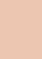 Dior Backstage Face & Body Foundation - 4C Cool