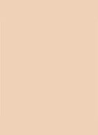 Dior Backstage Face & Body Foundation - 2,5N Neutral