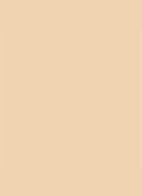 Dior Backstage Face & Body Foundation - 2WO Warm Olive