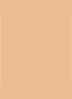Dior Backstage Face & Body Foundation - 4,5W Warm