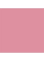 Dior Backstage Rosy Glow - Limited Edition  - 850 Starry Mauve
