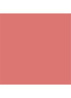 Dior Forever Blush Soft Filter - 01 Petal