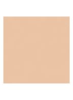 Dior Forever Natural Velvet - compact foundation - 2N