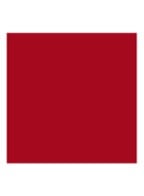 Dior Vernis Nagellak - 853 Rouge Trafalgar