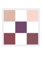 Diorshow 5 Couleurs - Oogschaduwpalette - 183 Plum Tutu