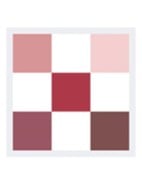 Diorshow 5 Couleurs - Oogschaduwpalette - 879 Rouge Trafalgar