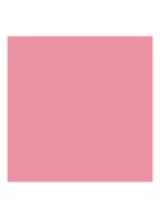 Rouge Blush - Langhoudende Blush - Mat - 475 Rose Caprice