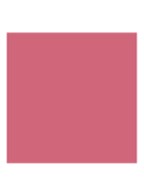 Rouge Blush - Langhoudende Blush - Mat - 962 Poison