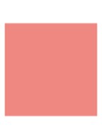Rouge Blush - Langhoudende Blush - Satijn - 999 Rouge