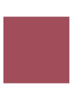 Rouge Blush - Langhoudende Blush - Shimmer - 720 Icône