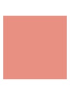 Rouge Blush - Langhoudende Blush - Shimmer - 219 Rose Montaigne