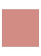 Rouge Blush - Langhoudende Blush - Mat - 100 Nude Look