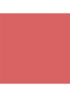 Rouge Dior On Stage - lipstick - 226 Daring Blush