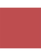 Rouge Dior On Stage - lipstick - 425 Wild Rosewood