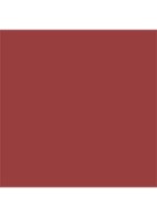 Rouge Dior On Stage - lipstick - 565 Fearless Brown