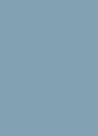 Lip Balm - lippenbalsem - 005 Frosted blue