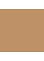 Double Wear Maximum Cover Camouflage Makeup for Face and Body SPF 15 - foundation - 2C5 Creamy Tan