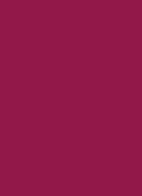 Pure Color Lipstick - ENIGMA