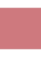 Perfect Shape Lip Liner - lippotlood - Rosy Glow