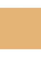 Tinted Skin Perfector - getinte dagcrème - Medium