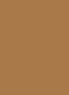 Concentré de Beauté - concealer - 42W